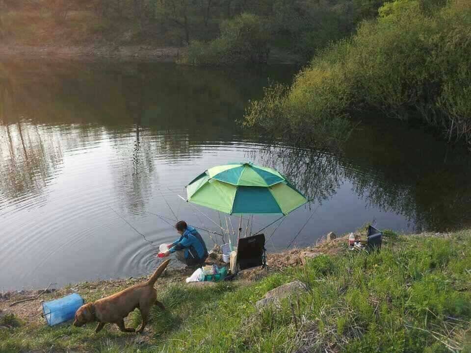 안성 죽산 장계지 (유료터정보 - 유료터점주조황)