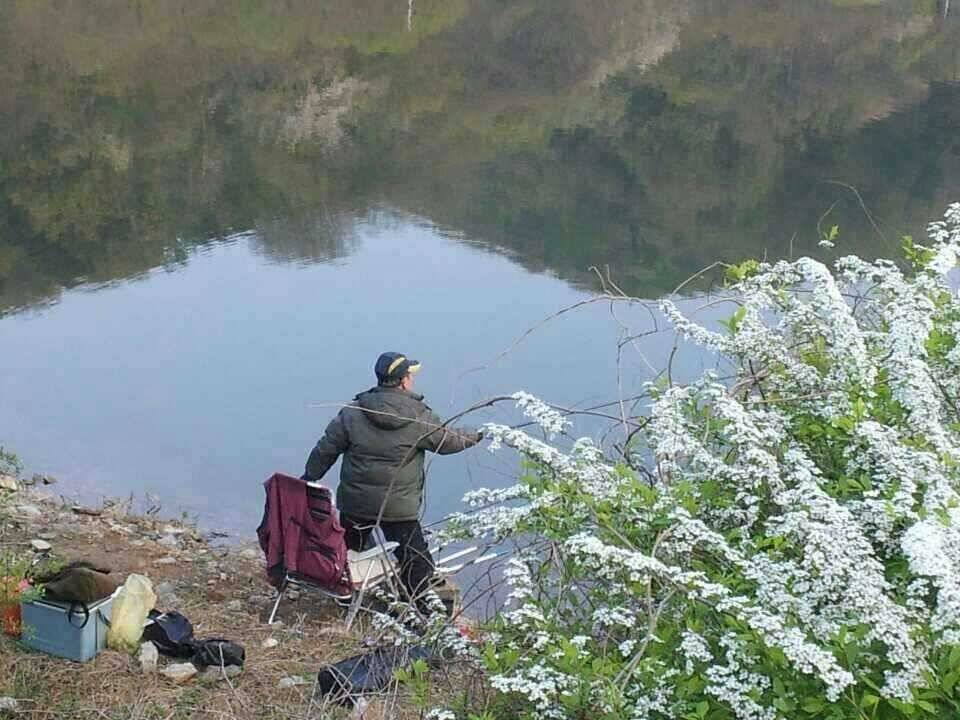 안성 죽산 장계지 (유료터정보 - 유료터점주조황)