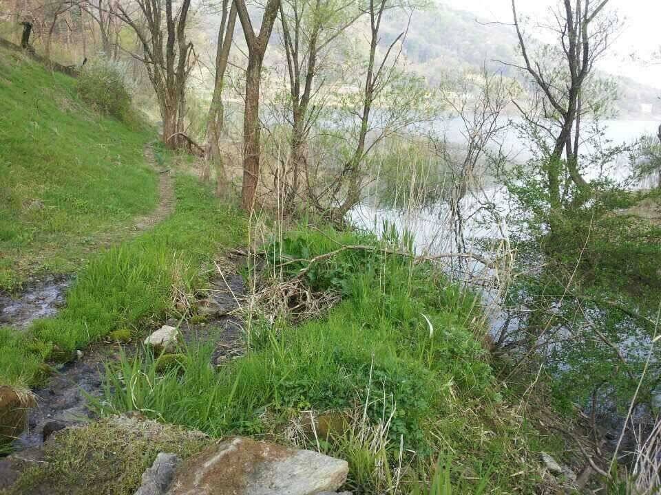 안성 죽산 장계지 (유료터정보 - 유료터점주조황)