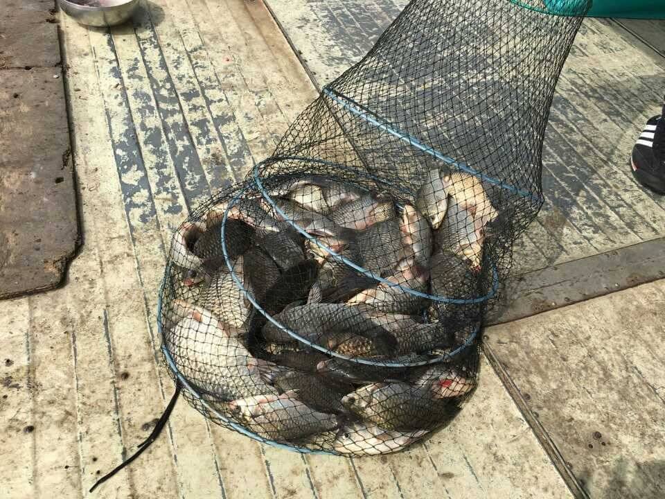아산 안골지 조황정보입니다 (유료터정보 - 유료터점주조황)