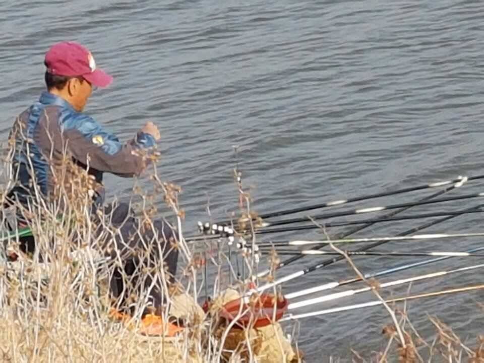 아산 안골지 조황정보입니다 (유료터정보 - 유료터점주조황)