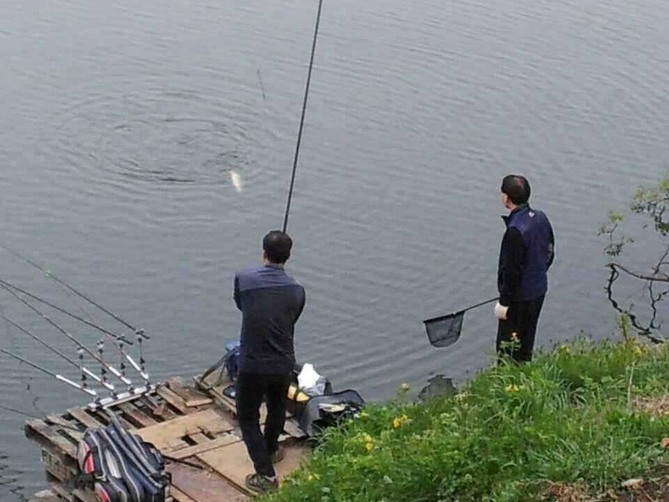 안성죽산장계지 (유료터정보 - 유료터점주조황)