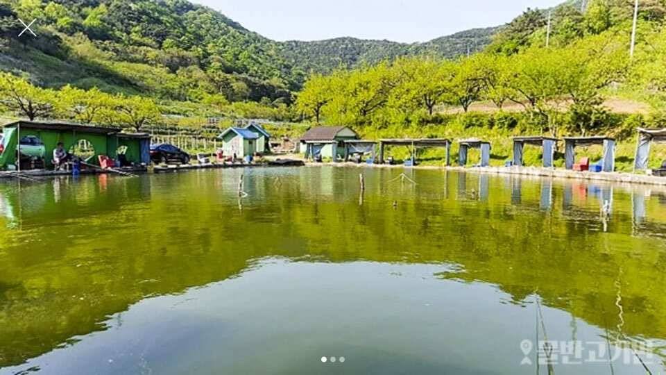 경산 두메낚시터 2018년 3월 17일토 개장합니다 (유료터정보 - 유료터점주조황)
