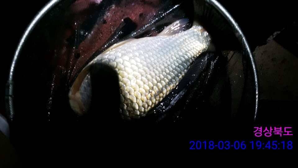 경주 동산낚시터 이번주 개장합니다 (유료터정보 - 유료터점주조황)
