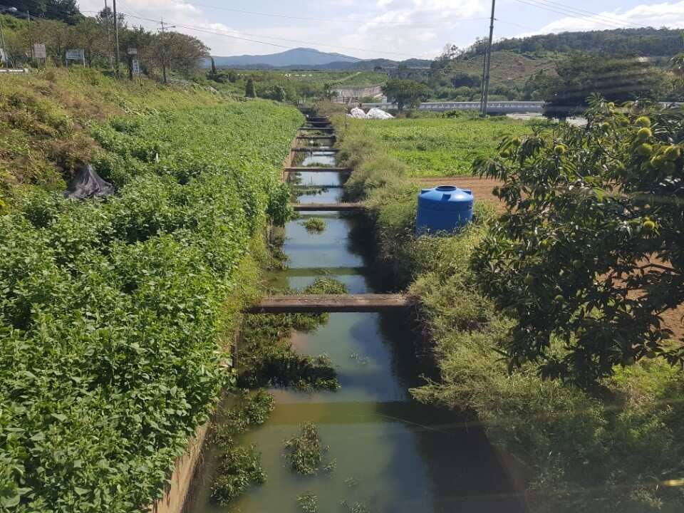 본격적이 가을 패턴에 접어들고 있습니다 그리고 15일 이후 배수가 완전 중단되어 올해 중에는 배수계획이 없습니다 이제 안정된 수위에서 큰녀석들의 입질을 보실 일만 남았습니다 아무래도 고삼지 최고의 최상류 포인트에서 포텐이 터질 수 밖에 없습니다 낮동안의 일조량으로 인해 아직은 대류가 있는 상황입니다 잘 아시겠지만 큰녀석들은 다소 찌맞춤이 무겁더라도 시원한 입질을 보여줍니다 대류 상황을 극복하면서 대물의 시원한 입질을 보시기엔 다소 무거운 찌 (유료터정보 - 유료터점주조황)