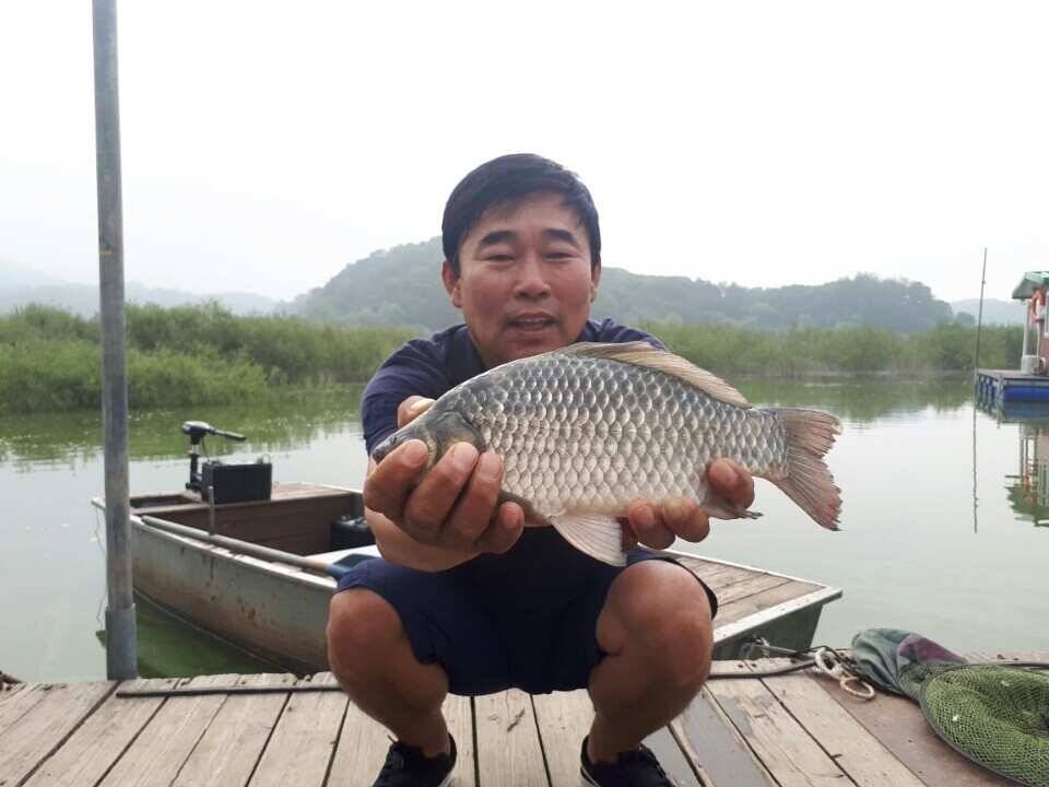 고삼지양촌가을 시즌 대물들이 상류에서 놀이터를 삼고 있네요 (유료터정보 - 유료터점주조황)