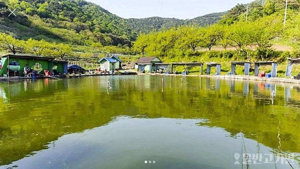 경북 경산 두메낚시터 2019년 3월 8일에서 3월 9일로 개장날짜 정정합니다 (유료터정보 - 유료터점주조황)