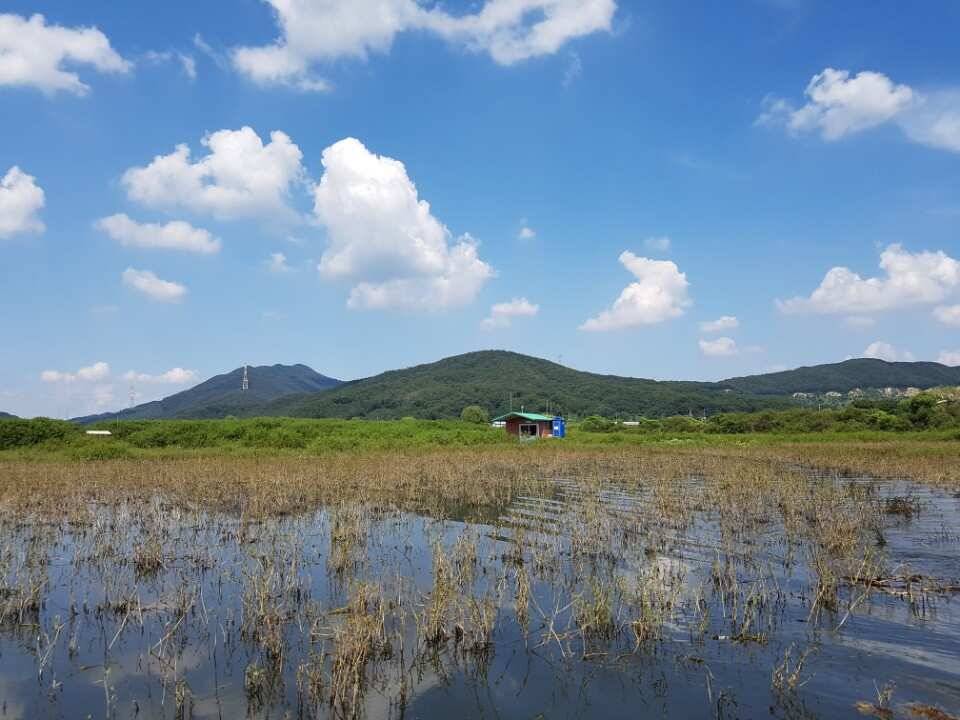 고삼지양촌솔솔 가을 바람타고 붕어도 솔솔 나옵니다 (유료터정보 - 유료터점주조황)