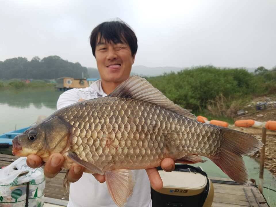 고삼지양촌 선선한 바람과 함께 힘붙은 붕어들이 힘을 쓰고 있습니다 (유료터정보 - 유료터점주조황)