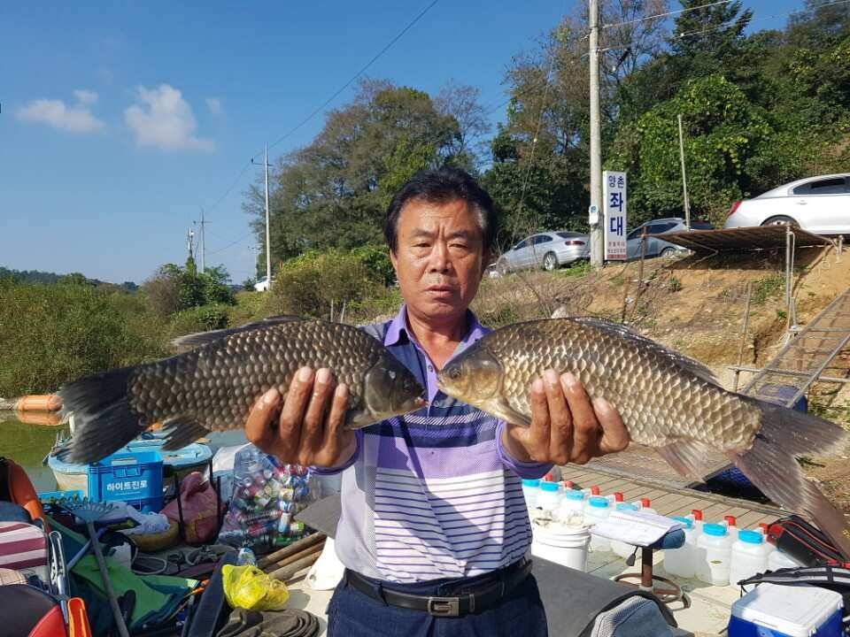 고삼지양촌4짜는 연휴 끝자락까지 이어졌습니다 (유료터정보 - 유료터점주조황)