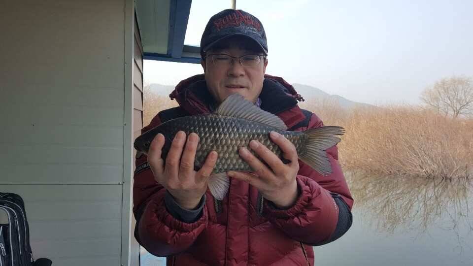 31절 연휴 조황 대물붕어 (유료터정보 - 유료터점주조황)