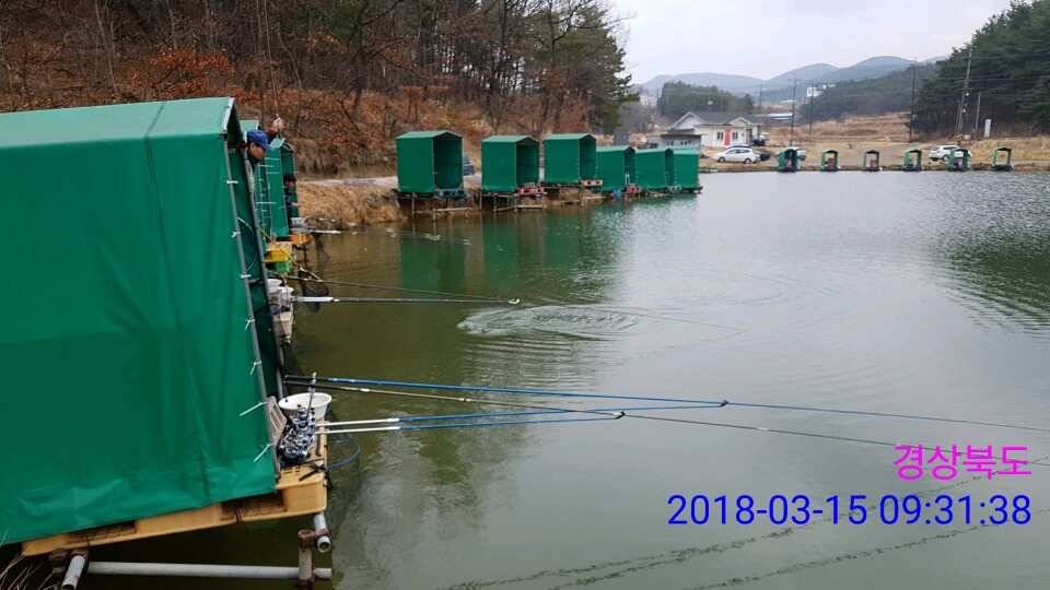 경주 동산낚시터 지난주 조황 (유료터정보 - 유료터점주조황)