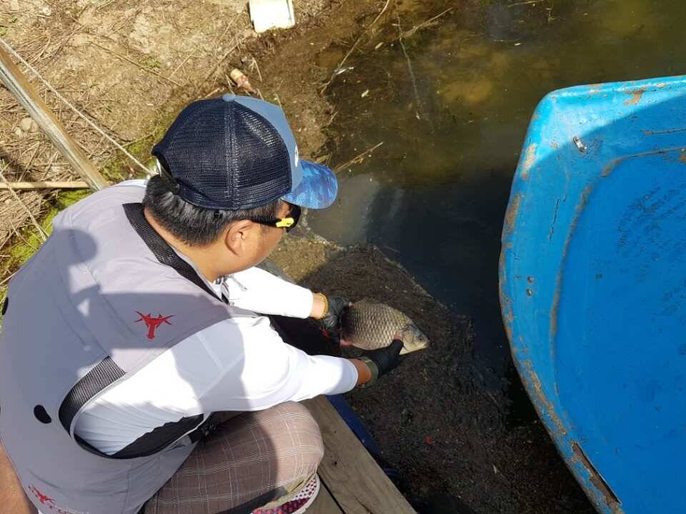 본격적이 가을 패턴에 접어들고 있습니다 그리고 15일 이후 배수가 완전 중단되어 올해 중에는 배수계획이 없습니다 이제 안정된 수위에서 큰녀석들의 입질을 보실 일만 남았습니다 아무래도 고삼지 최고의 최상류 포인트에서 포텐이 터질 수 밖에 없습니다 낮동안의 일조량으로 인해 아직은 대류가 있는 상황입니다 잘 아시겠지만 큰녀석들은 다소 찌맞춤이 무겁더라도 시원한 입질을 보여줍니다 대류 상황을 극복하면서 대물의 시원한 입질을 보시기엔 다소 무거운 찌 (유료터정보 - 유료터점주조황)
