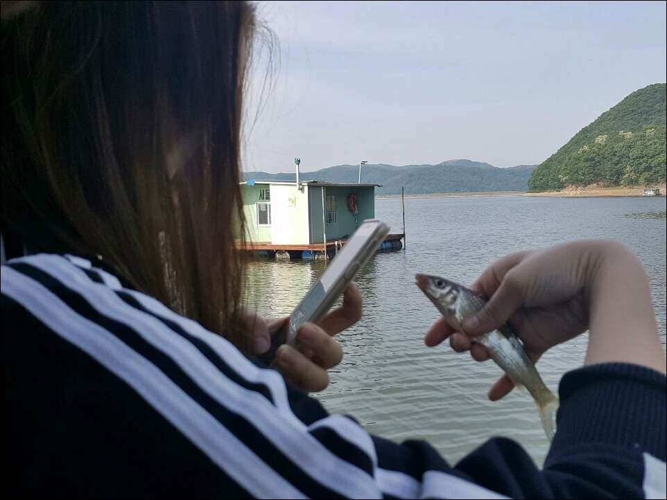 170521 송전지 서울집 조황 (유료터정보 - 유료터점주조황)