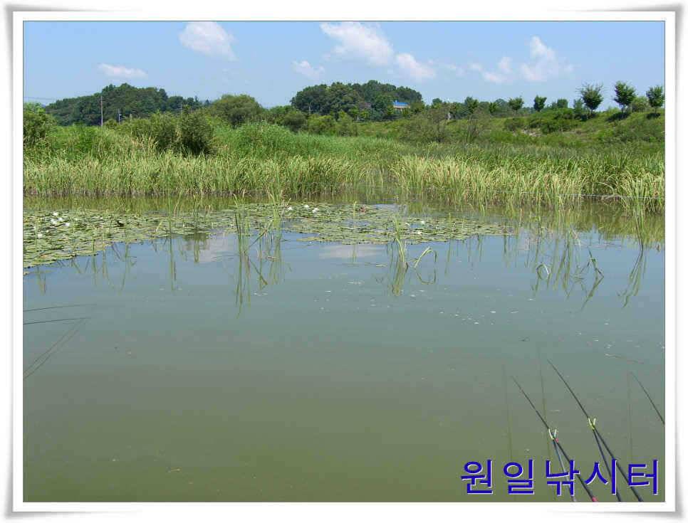 의암호 원일낚시터입니다 (유료터정보 - 유료터점주조황)