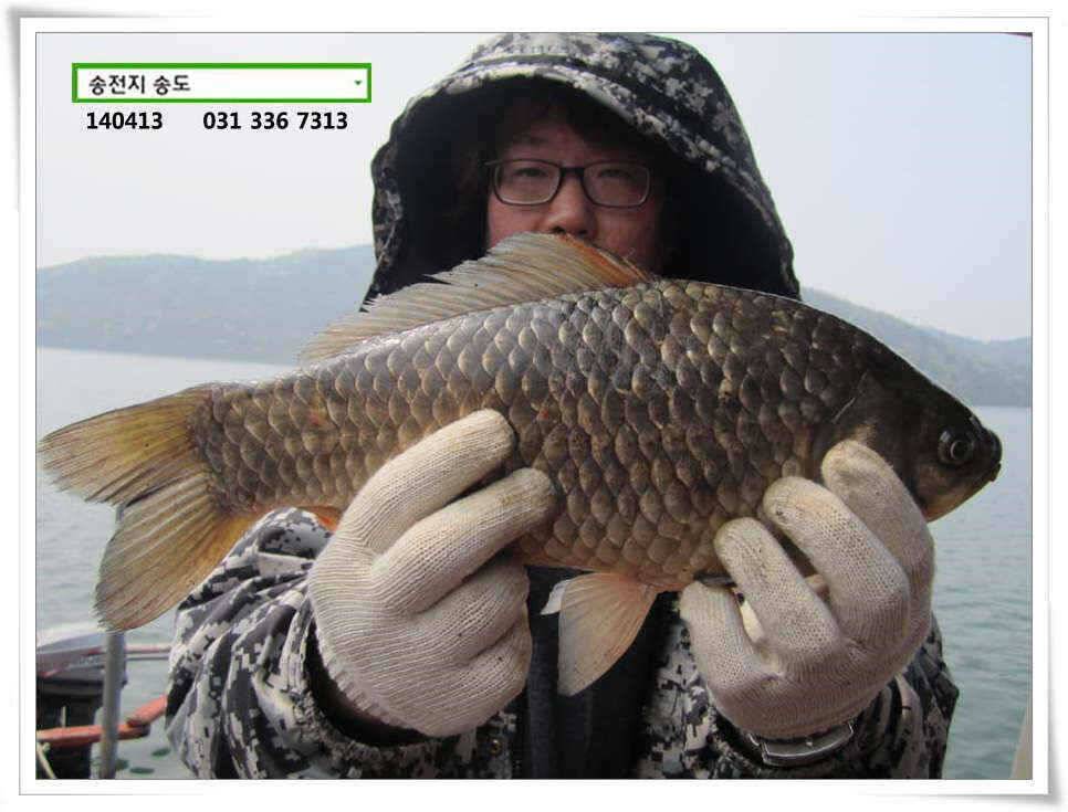턱걸이 4짜 너끈한 5짜 (유료터정보 - 유료터점주조황)