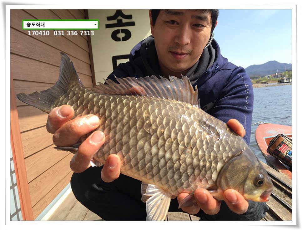 다시 허리급송전지 송도집 좌대 조황 (유료터정보 - 유료터점주조황)
