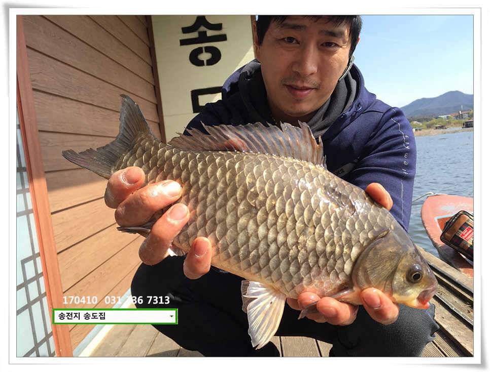 다시 허리급송전지 송도집 좌대 조황 (유료터정보 - 유료터점주조황)