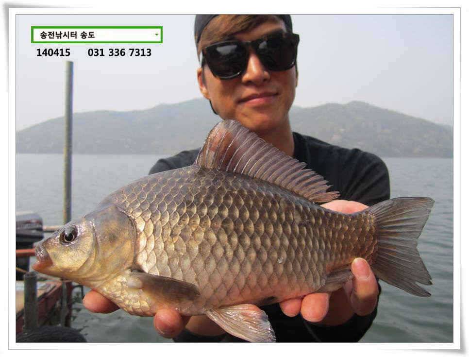 4월 둘째주말 조황 송전지 송도 (유료터정보 - 유료터점주조황)
