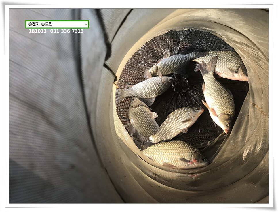 한 수 노리기 시전하는 김사장 (유료터정보 - 유료터점주조황)