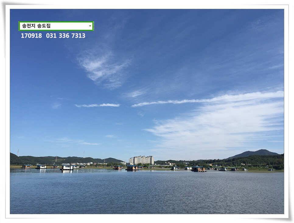 가을 분위기에송전지 송도 좌대 조황 (유료터정보 - 유료터점주조황)