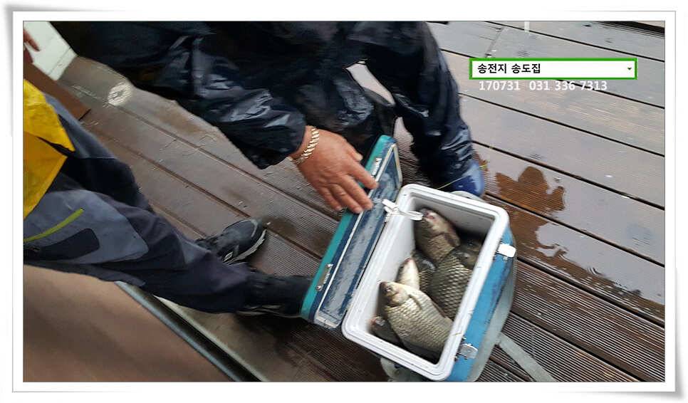 또 한 번의 오름송전지 송도집 좌대 조황 (유료터정보 - 유료터점주조황)