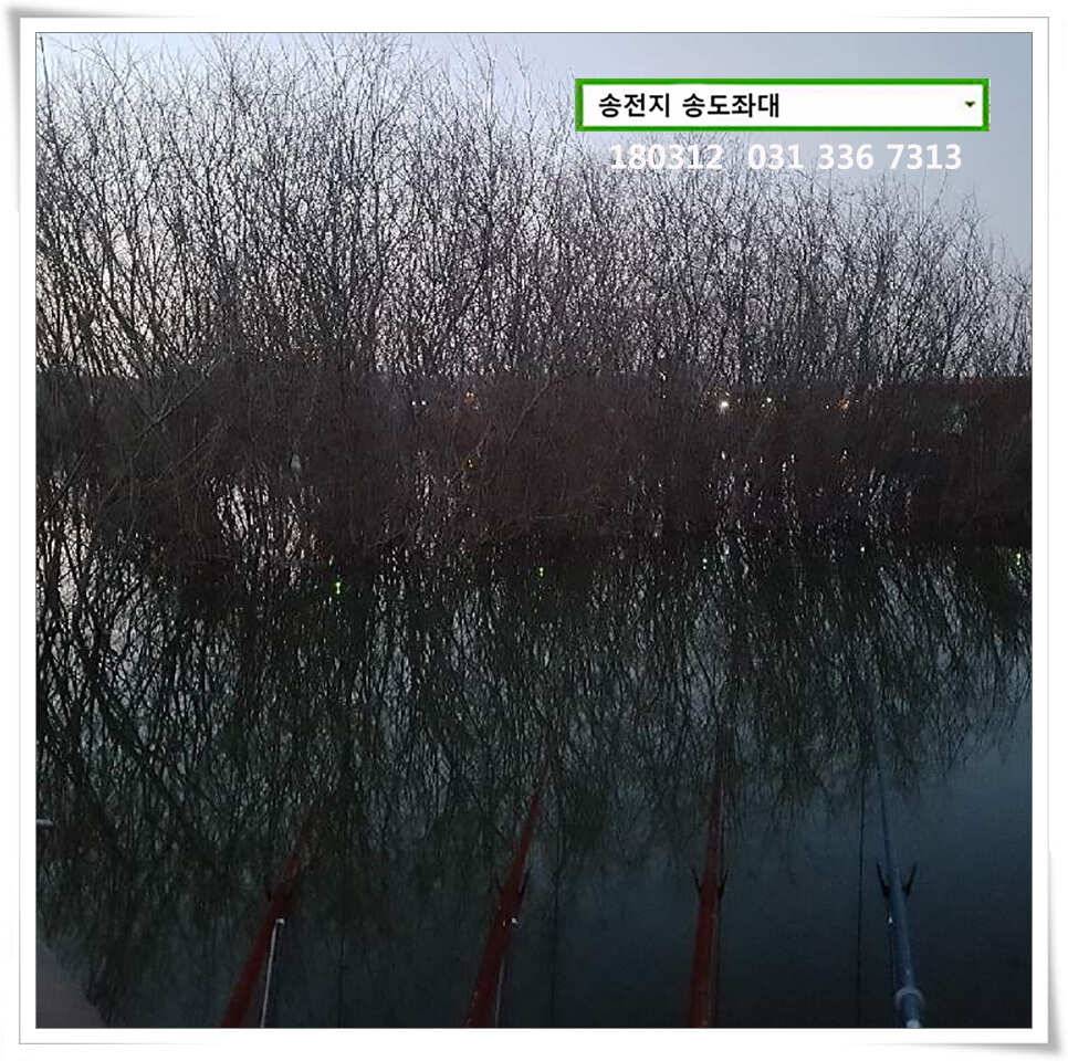 일기여건이 관건송전지 송도집 좌대 조황 (유료터정보 - 유료터점주조황)