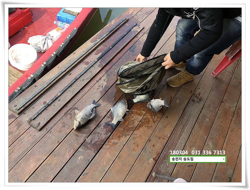 18시즌 첫 날 첫 수송전지 송도좌대 조황 (유료터정보 - 유료터점주조황)