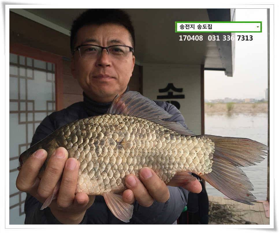 잡혀지는 산란패턴송전지 송도집 좌대 조황 (유료터정보 - 유료터점주조황)