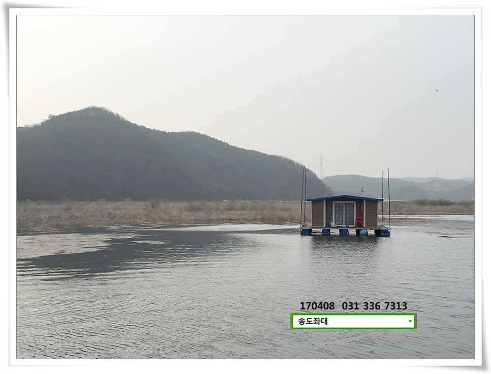 잡혀지는 산란패턴송전지 송도집 좌대 조황 (유료터정보 - 유료터점주조황)