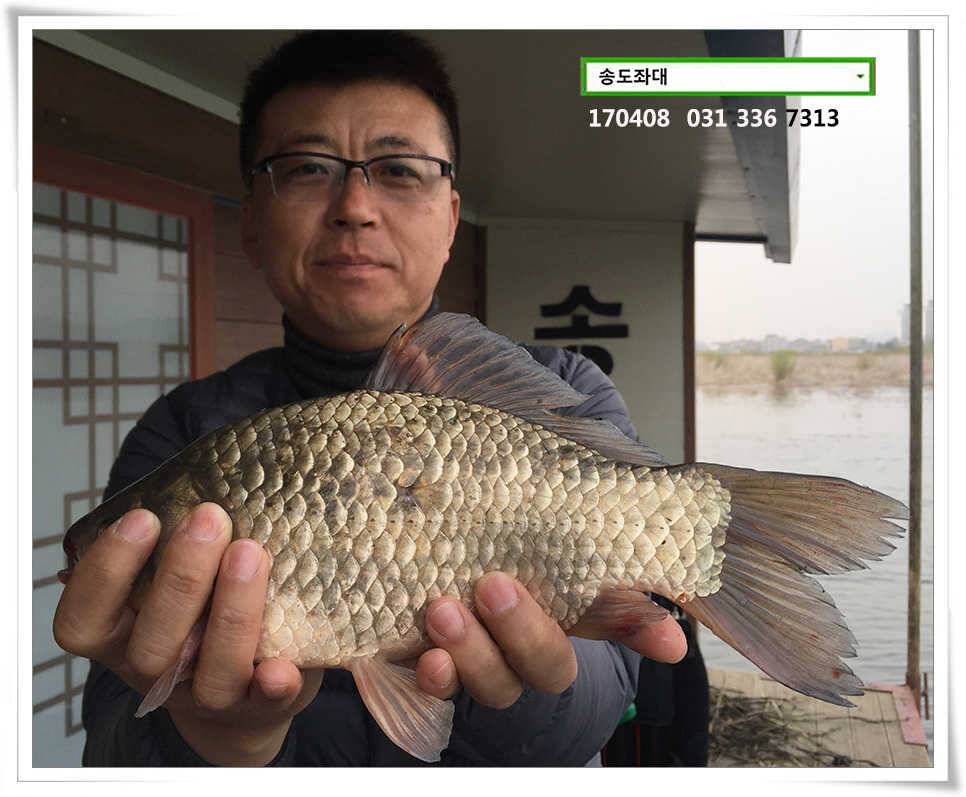 잡혀지는 산란패턴송전지 송도집 좌대 조황 (유료터정보 - 유료터점주조황)