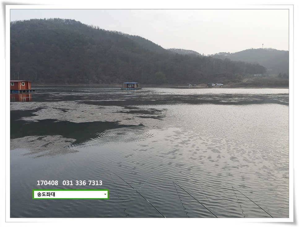 잡혀지는 산란패턴송전지 송도집 좌대 조황 (유료터정보 - 유료터점주조황)