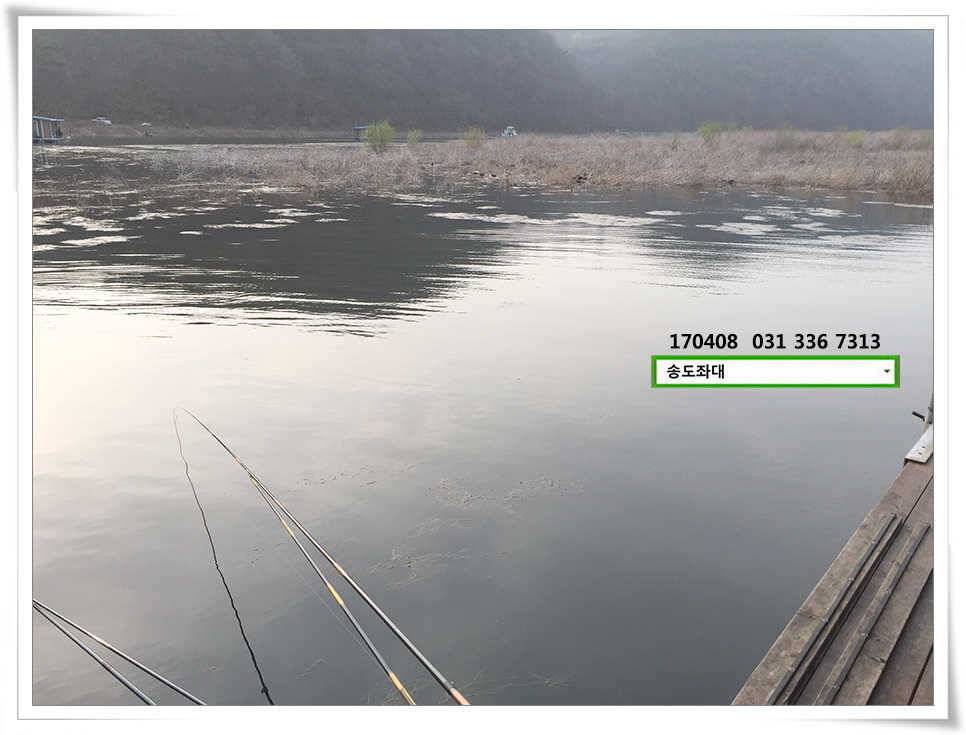 잡혀지는 산란패턴송전지 송도집 좌대 조황 (유료터정보 - 유료터점주조황)