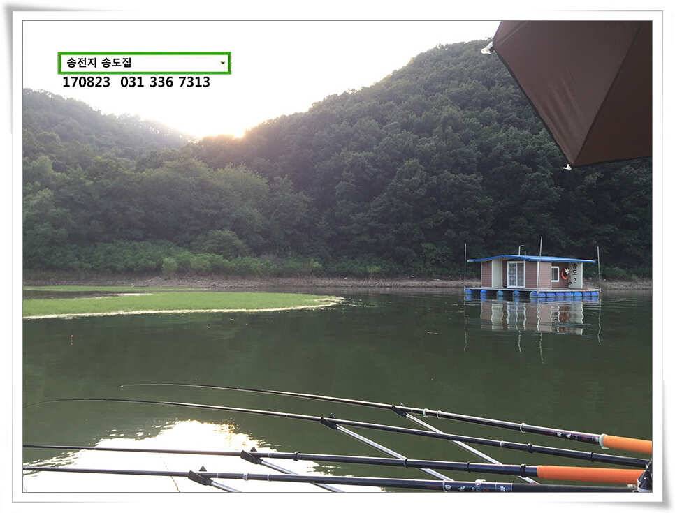비 없는 주말송전지 송도 좌대 조황 (유료터정보 - 유료터점주조황)