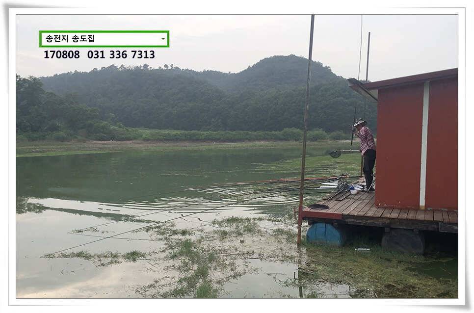 다시 만난 월척송전지 송도집 좌대 조황 (유료터정보 - 유료터점주조황)