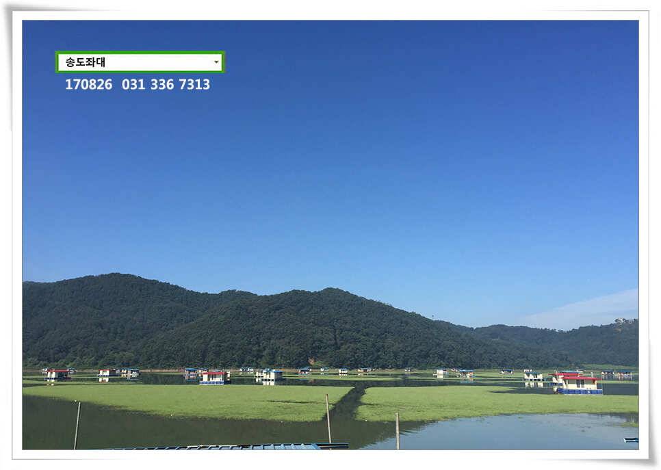 가을볕에 상면송전지 송도집 좌대 조황 (유료터정보 - 유료터점주조황)