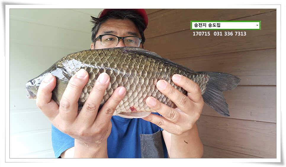 40cm 기타 등등송전지 송도집 조황 (유료터정보 - 유료터점주조황)