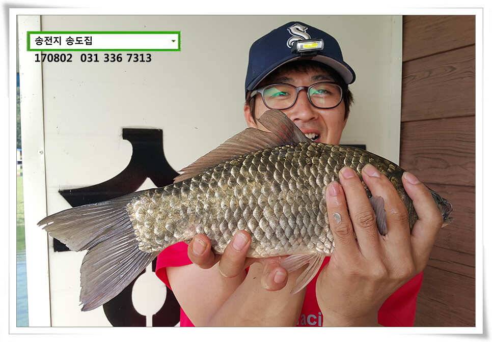 허리급 외 마릿수 송전지 송도집 좌대 조황 (유료터정보 - 유료터점주조황)