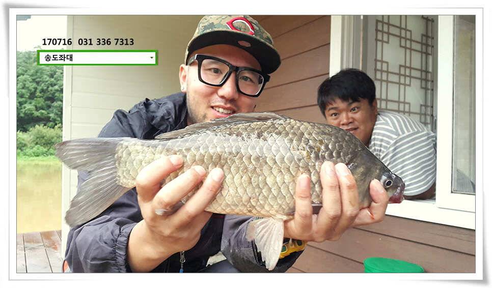 42cm 42cm송전지 송도집 좌대 조황 (유료터정보 - 유료터점주조황)