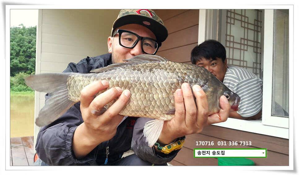 42cm 42cm송전지 송도집 좌대 조황 (유료터정보 - 유료터점주조황)