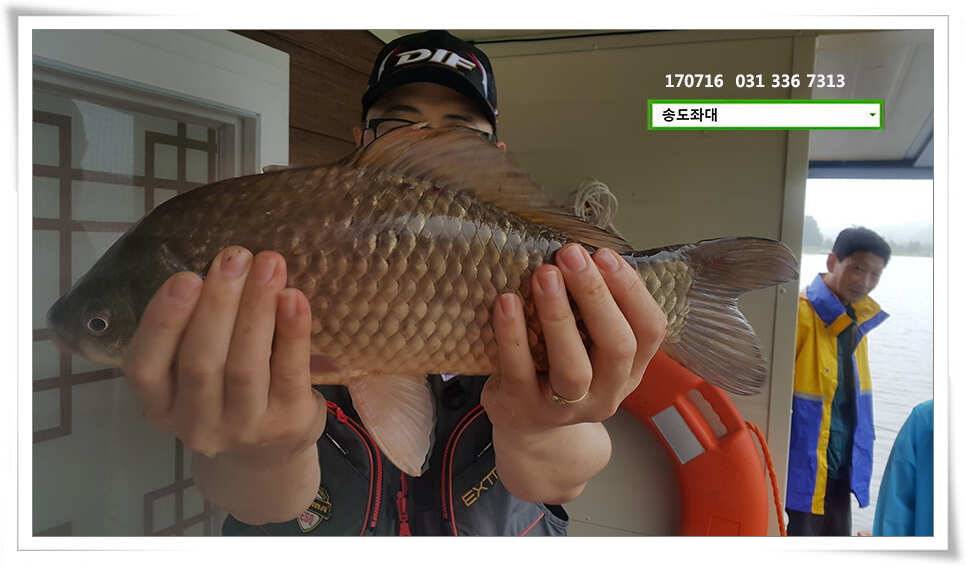 42cm 42cm송전지 송도집 좌대 조황 (유료터정보 - 유료터점주조황)