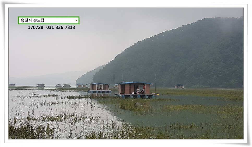 안정세 띄는 송전지 송도좌대 조황 (유료터정보 - 유료터점주조황)