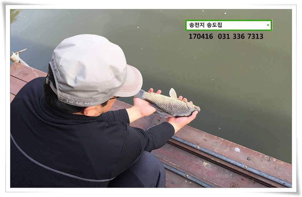 송전지 송도 좌대 조황 (유료터정보 - 유료터점주조황)