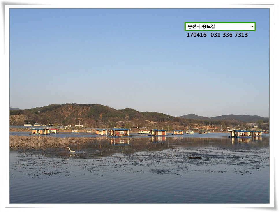 송전지 송도 좌대 조황 (유료터정보 - 유료터점주조황)
