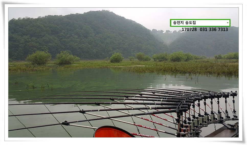 안정세 띄는 송전지 송도좌대 조황 (유료터정보 - 유료터점주조황)