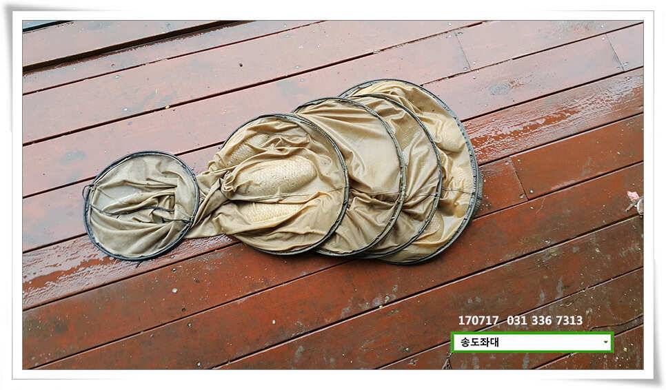 42cm 42cm송전지 송도집 좌대 조황 (유료터정보 - 유료터점주조황)