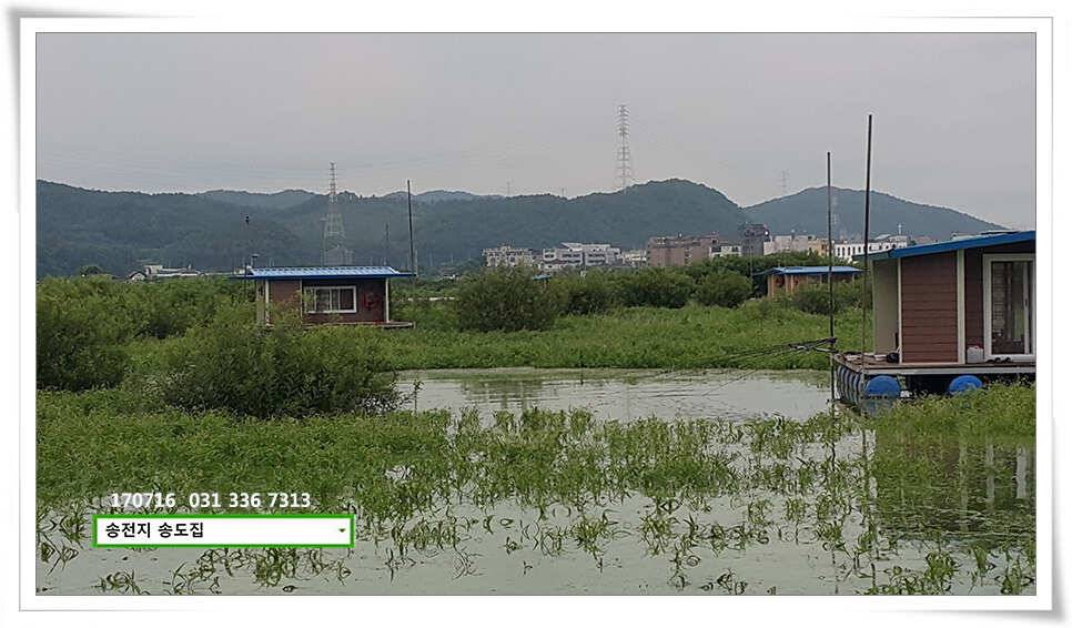 42cm 42cm송전지 송도집 좌대 조황 (유료터정보 - 유료터점주조황)