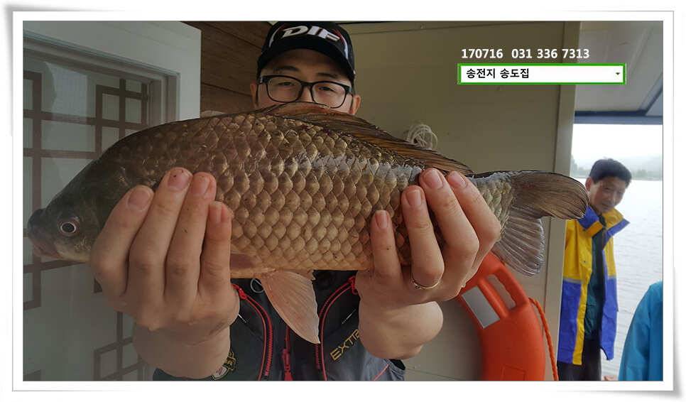 42cm 42cm송전지 송도집 좌대 조황 (유료터정보 - 유료터점주조황)