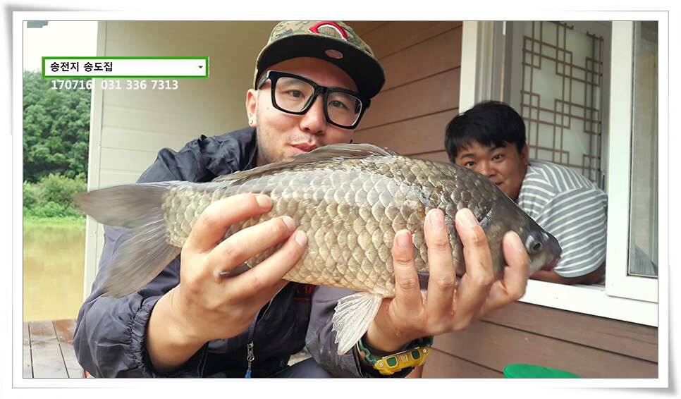 42cm 42cm송전지 송도집 좌대 조황 (유료터정보 - 유료터점주조황)