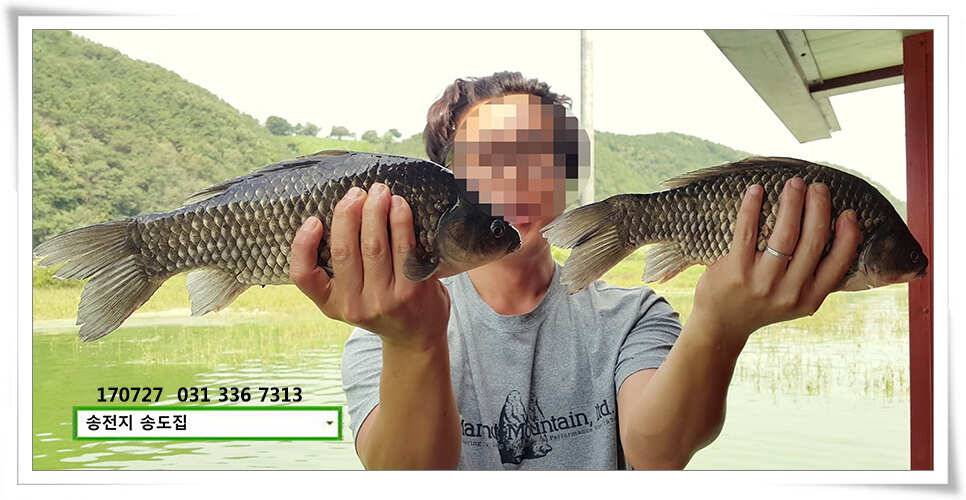 변수에 월척 마릿수 송전지 송도집 좌대 조황 (유료터정보 - 유료터점주조황)